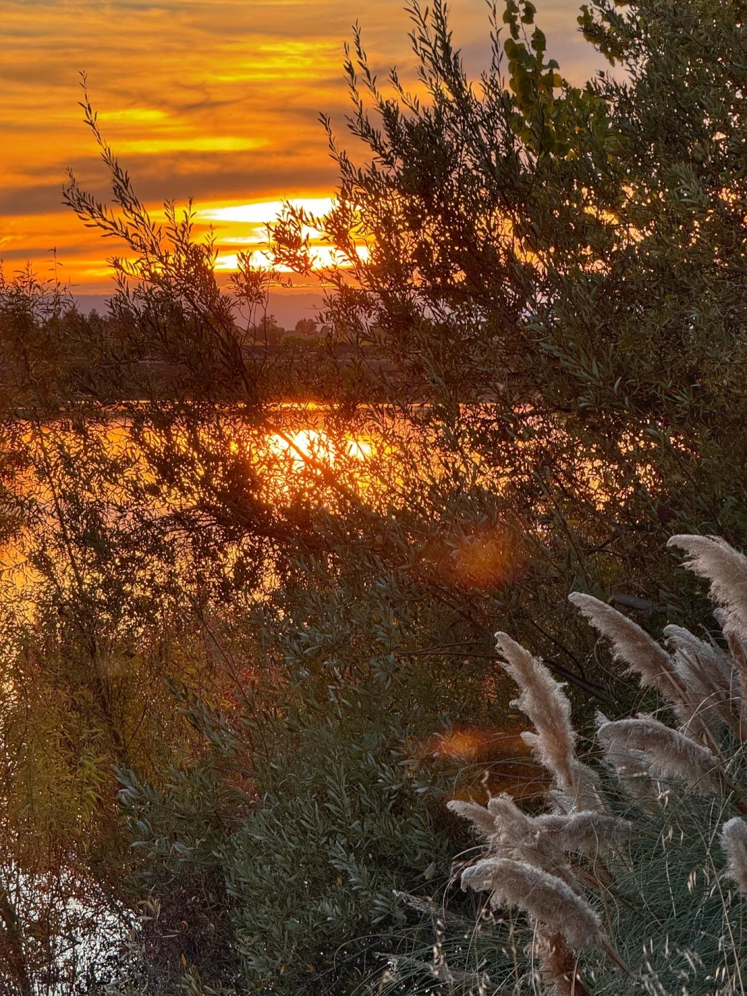 Lesser-known trail in the Bay Area that offers stunning autumn colors