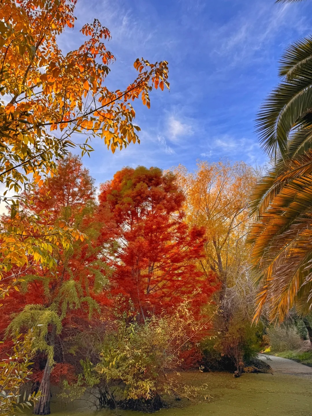 Lesser-known trail in the Bay Area that offers stunning autumn colors