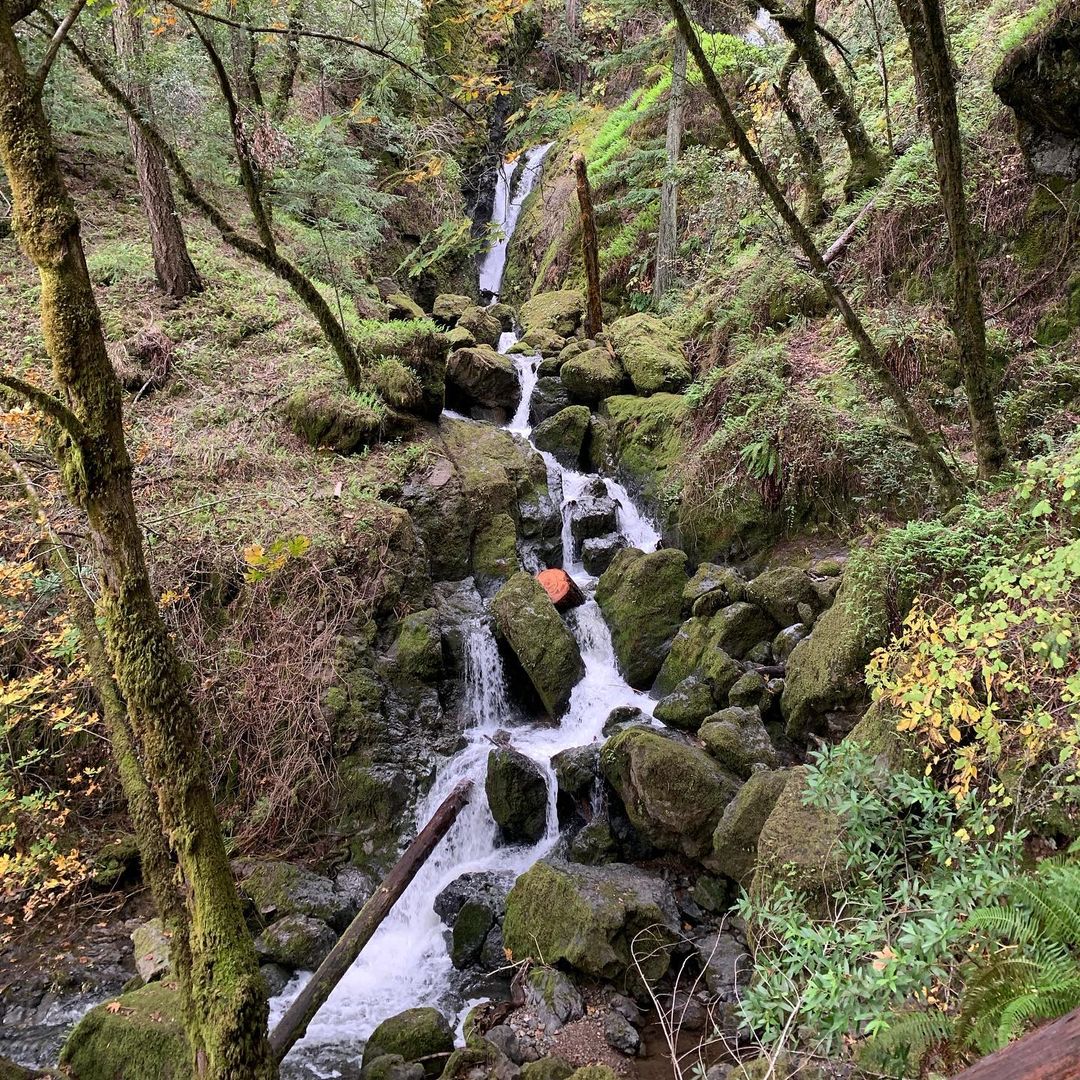 Magnificent Waterfall Hikes To Explore In The Bay Area