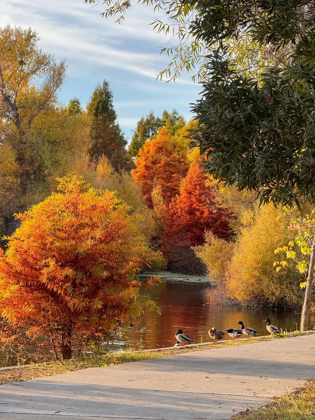 Lesser-known trail in the Bay Area that offers stunning autumn colors