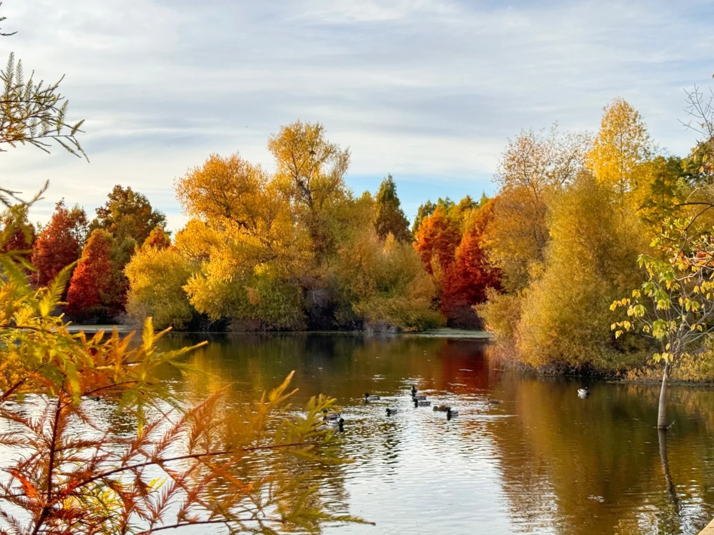 Lesser-known trail in the Bay Area that offers stunning autumn colors
