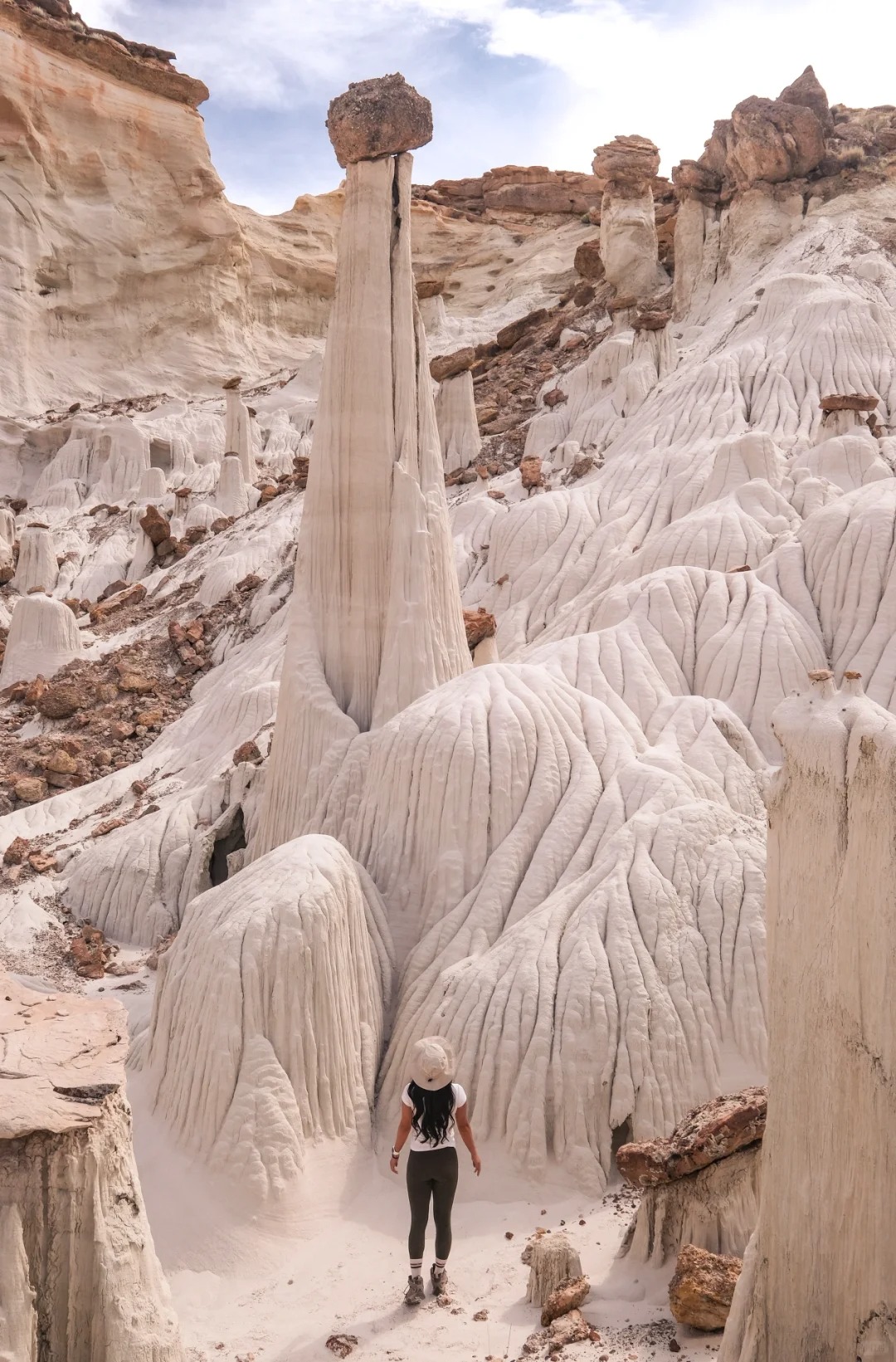 Wandering into a Forest of Pure White Mushrooms | Utah