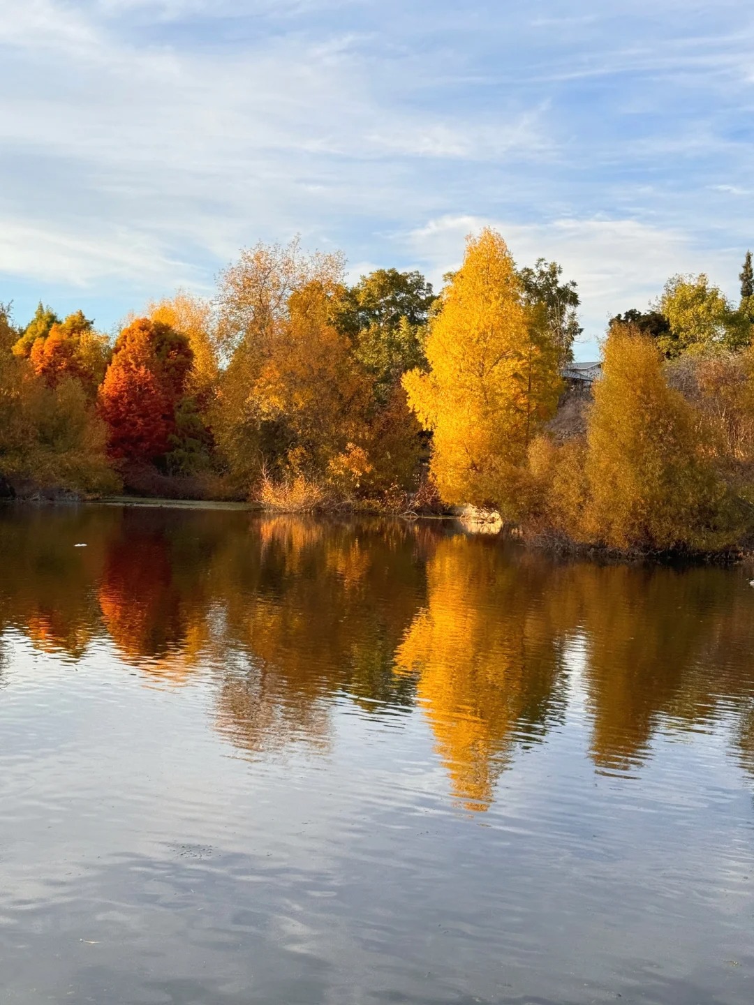 Lesser-known trail in the Bay Area that offers stunning autumn colors