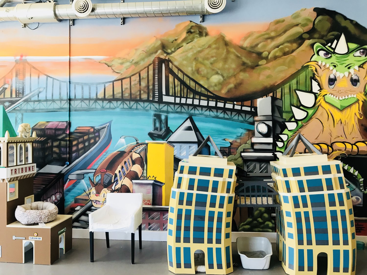  The Best Cat Cafes in Bay Area