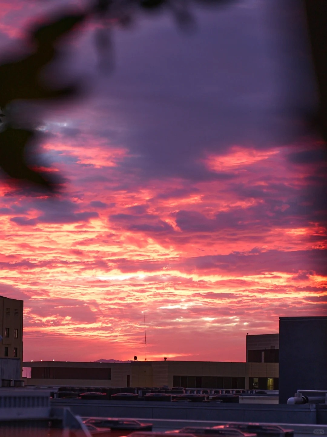 🌇 The Stunning Sunset in the City of Angels 🌅