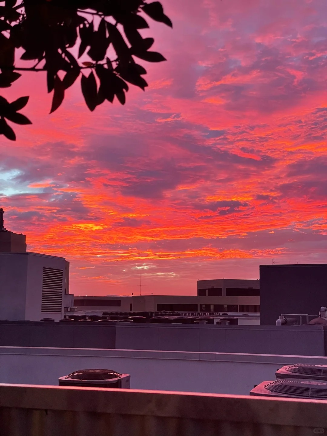 🌇 The Stunning Sunset in the City of Angels 🌅