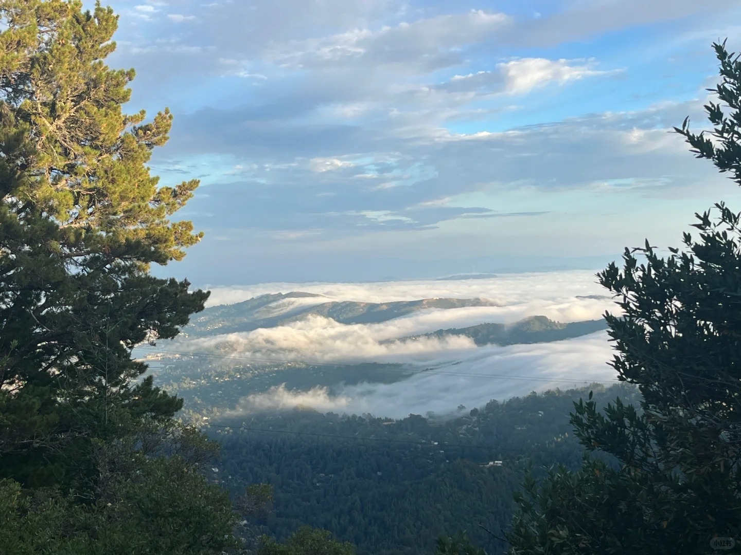 Pacific Sunset Collection in Bay Area | Cloud Watching!