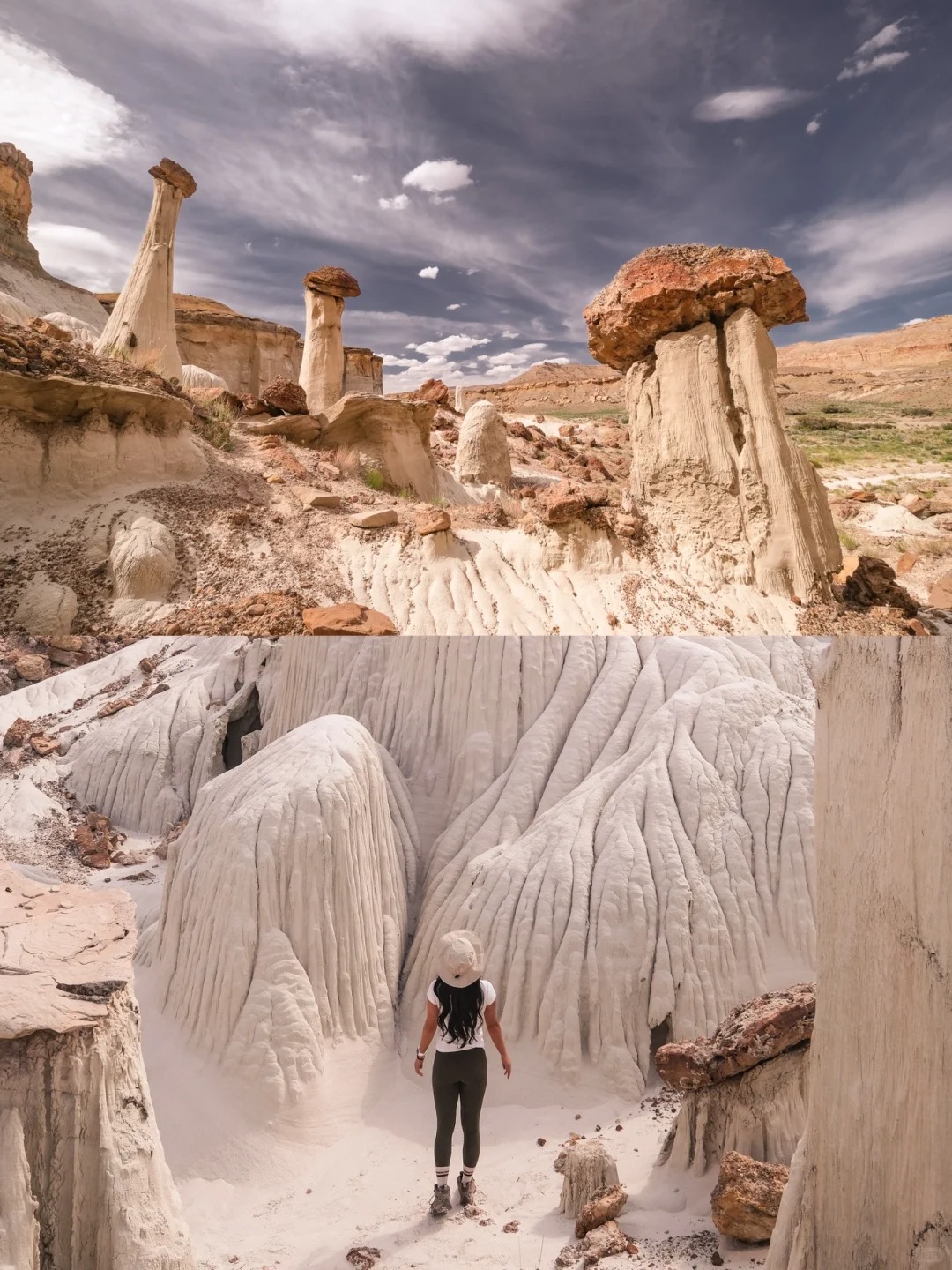 Wandering into a Forest of Pure White Mushrooms | Utah