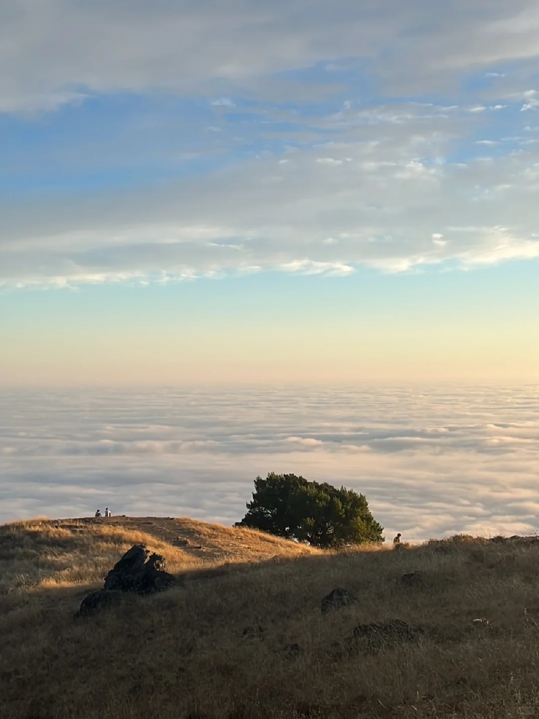 Pacific Sunset Collection in Bay Area | Cloud Watching!