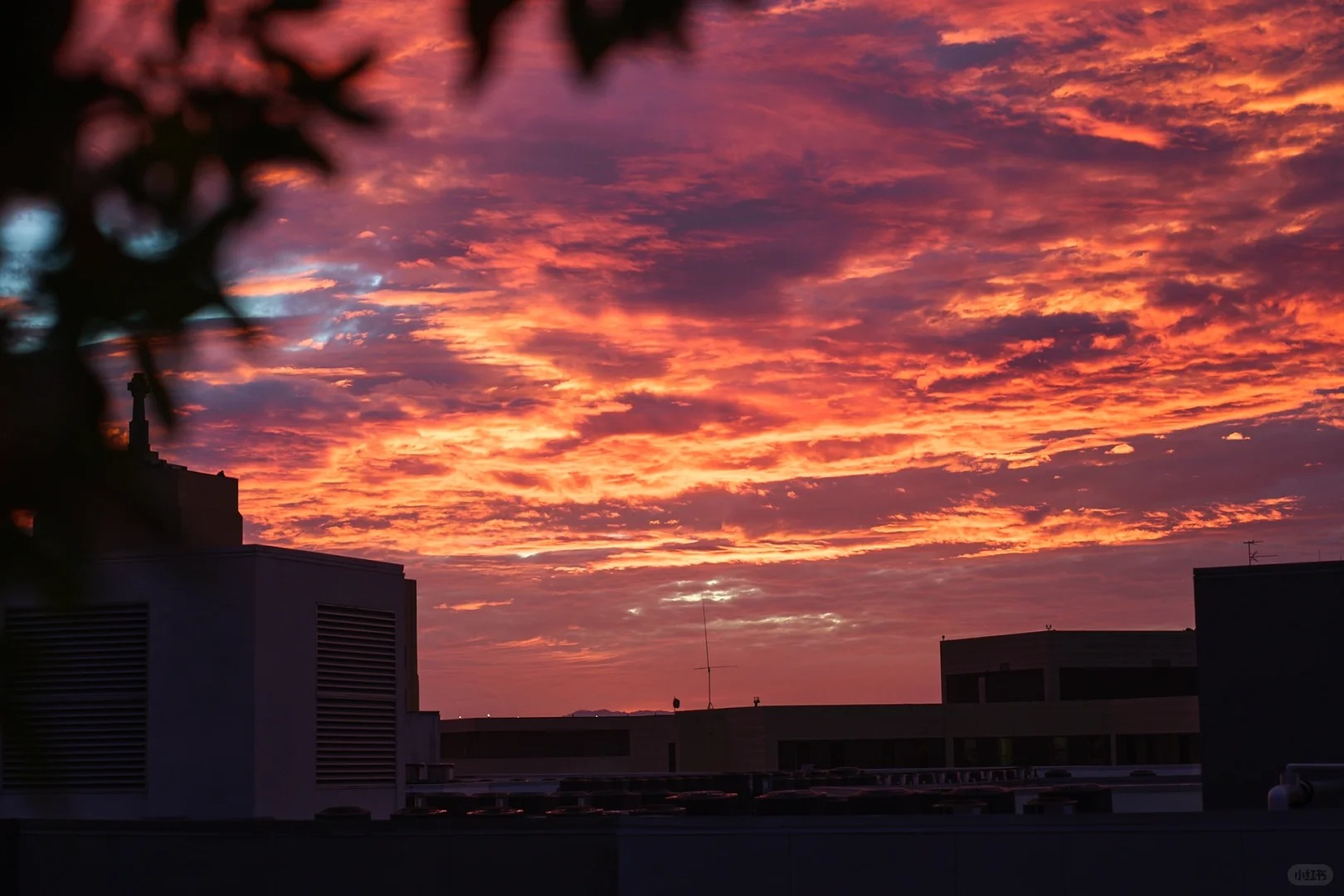 🌇 The Stunning Sunset in the City of Angels 🌅