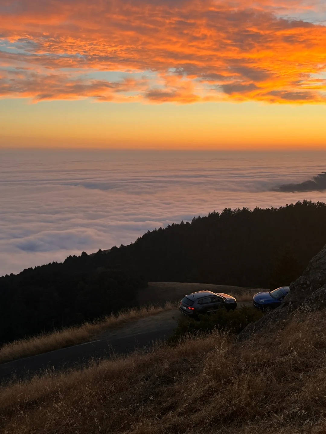 Pacific Sunset Collection in Bay Area | Cloud Watching!