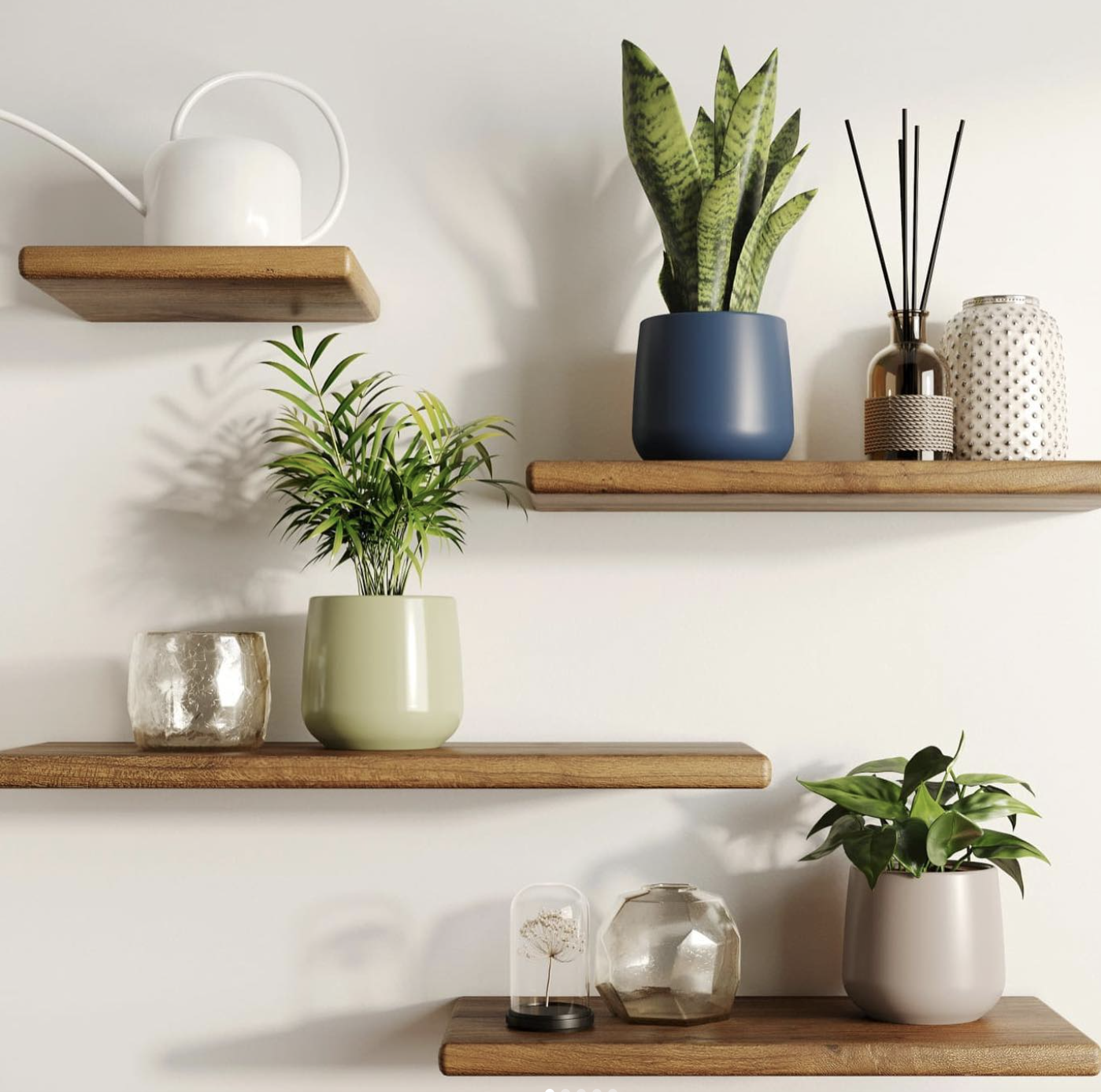 🌿 Low-Light Plant Lovers, This One's for You! 🌞🚫