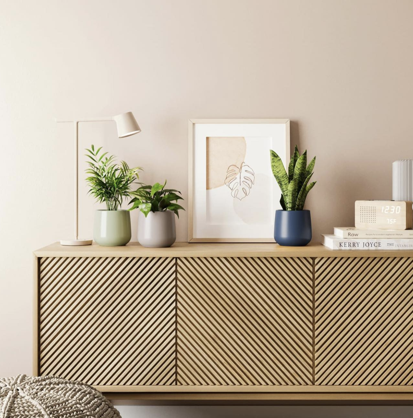 🌿 Low-Light Plant Lovers, This One's for You! 🌞🚫