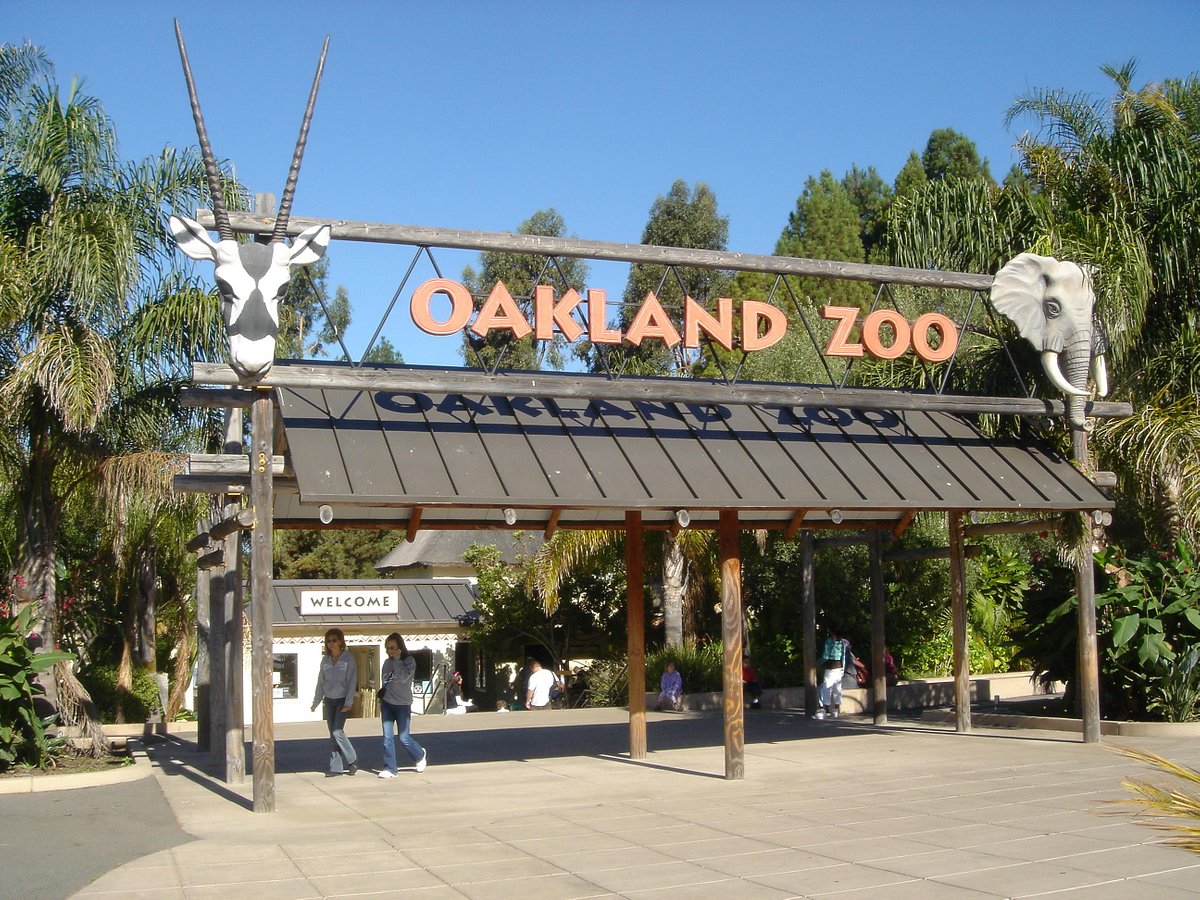The Ultimate Guide to Visiting the Oakland Zoo with Kids