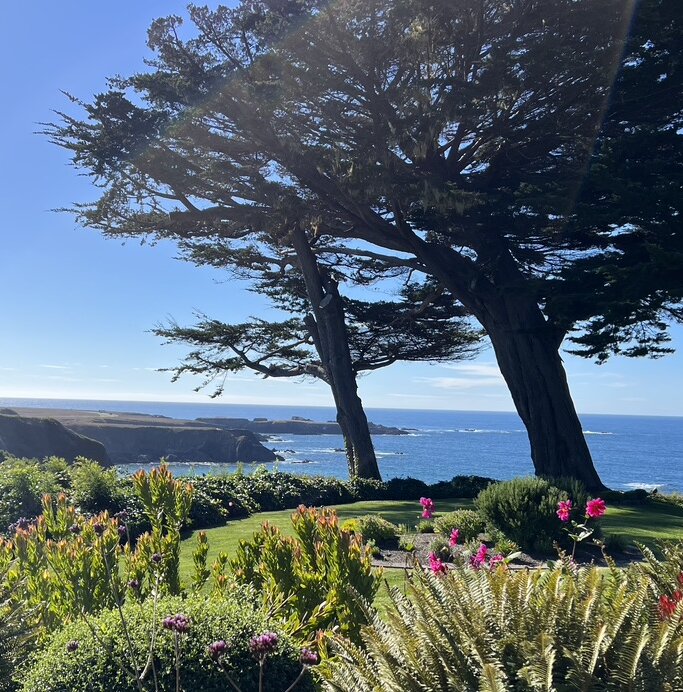 Mendocino is A Scenic Road Trips To Take 