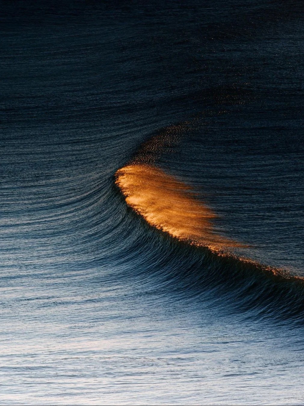 📸 Golden Waves 🌊