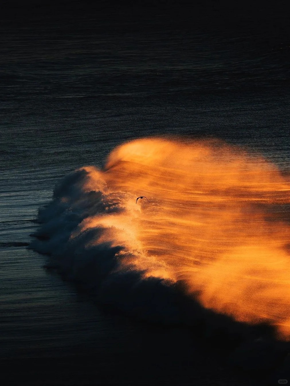 📸 Golden Waves 🌊
