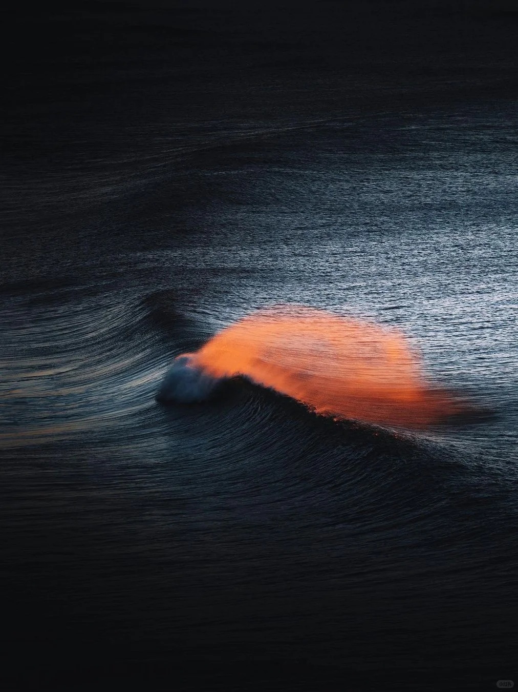 📸 Golden Waves 🌊