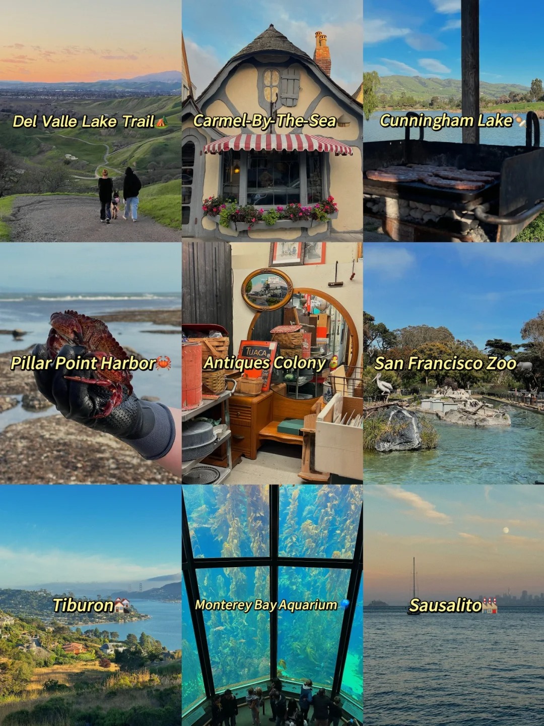 Weekend Whereabouts in the Bay Area Collection