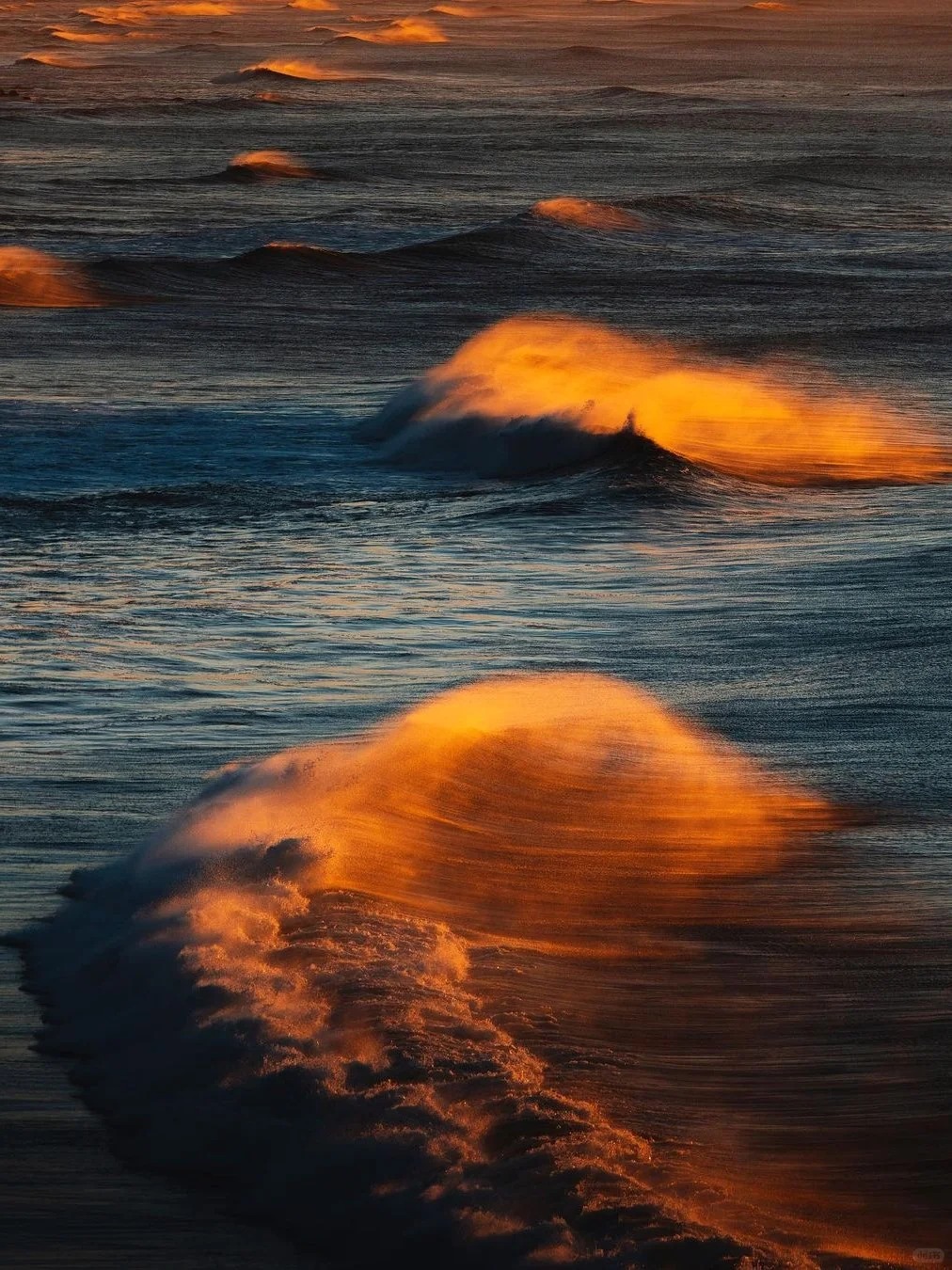 📸 Golden Waves 🌊