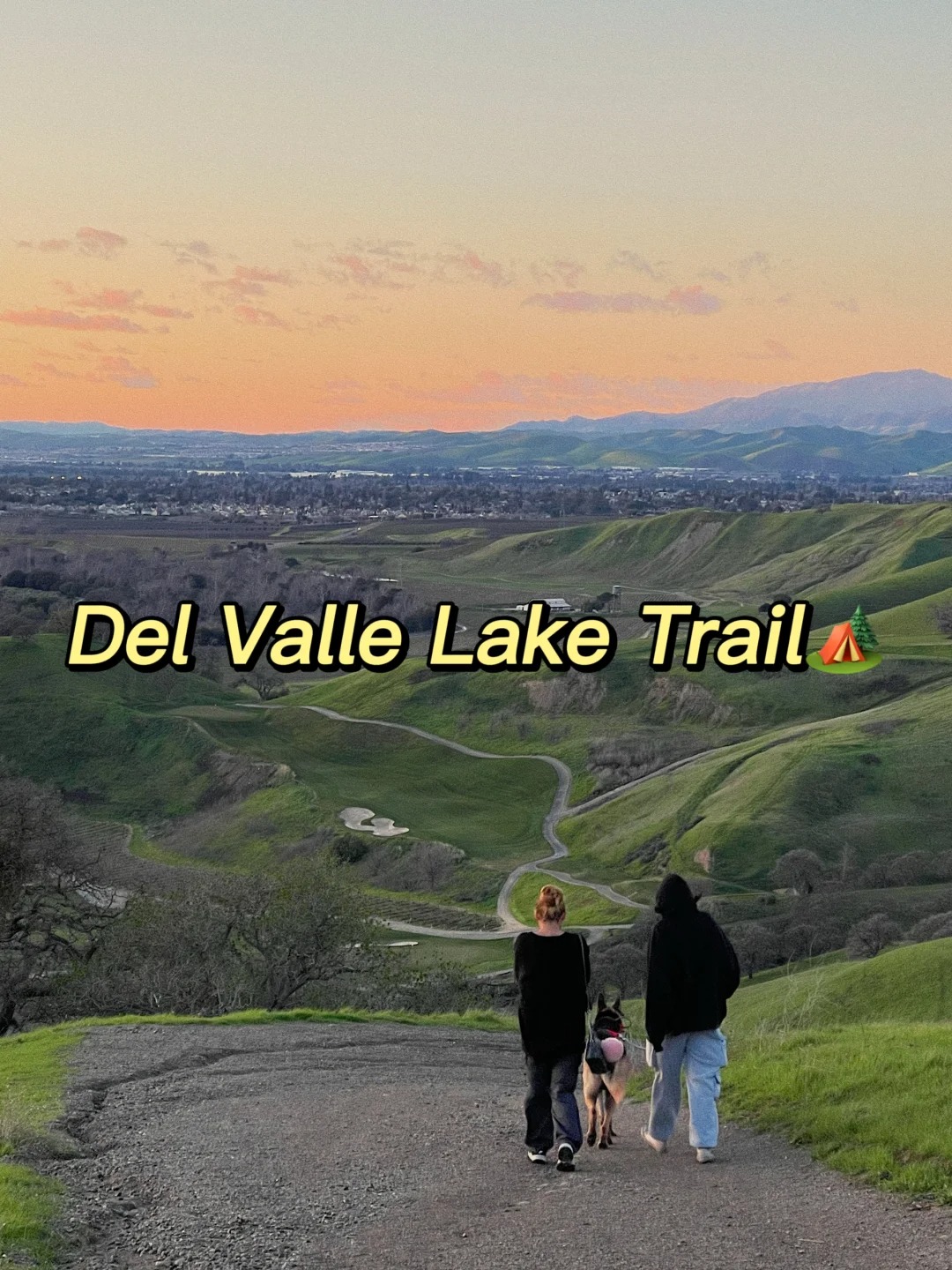 Weekend Whereabouts in the Bay Area Collection
