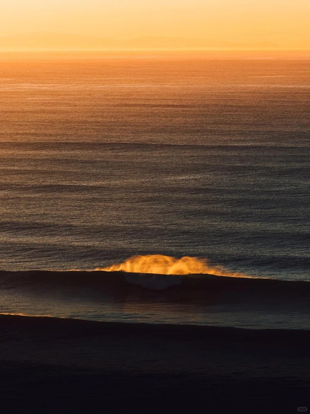 📸 Golden Waves 🌊