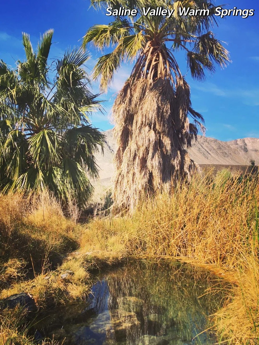 Los Angeles Surroundings 🌴 Free ❗ 4 Stunning Wild Hot Springs