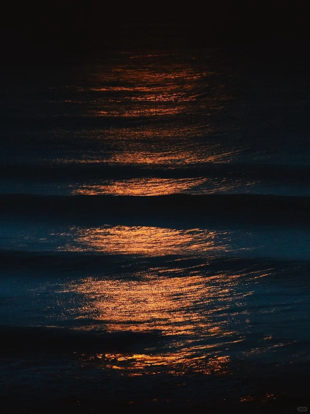 📸 Golden Waves 🌊