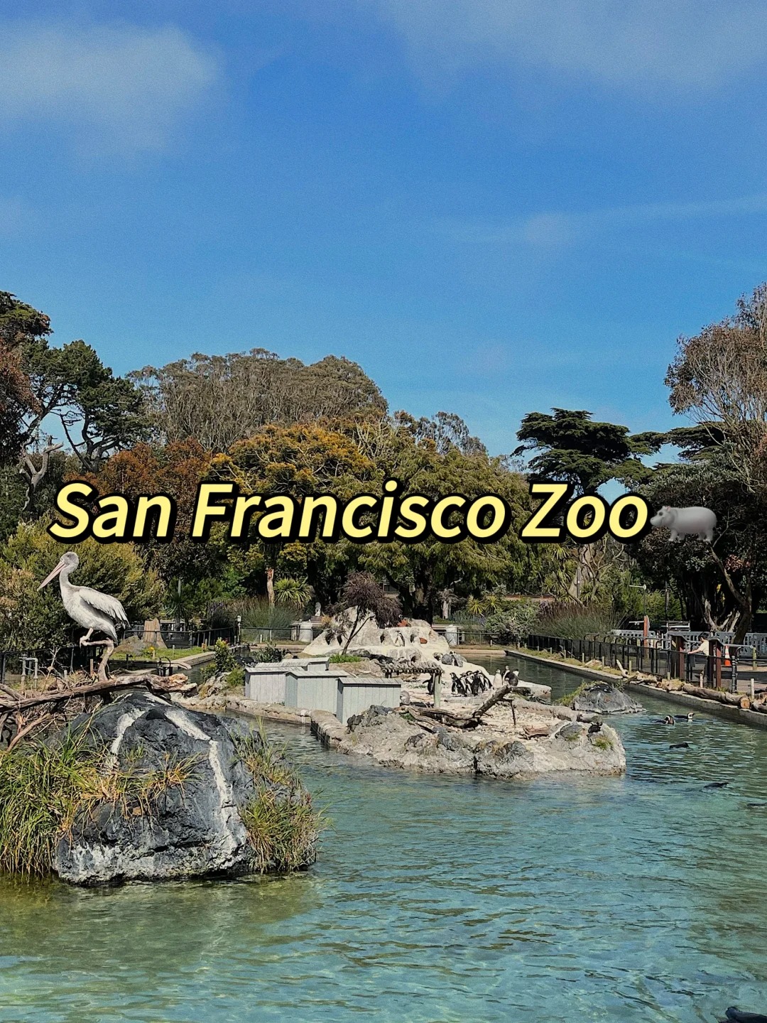 Weekend Whereabouts in the Bay Area Collection