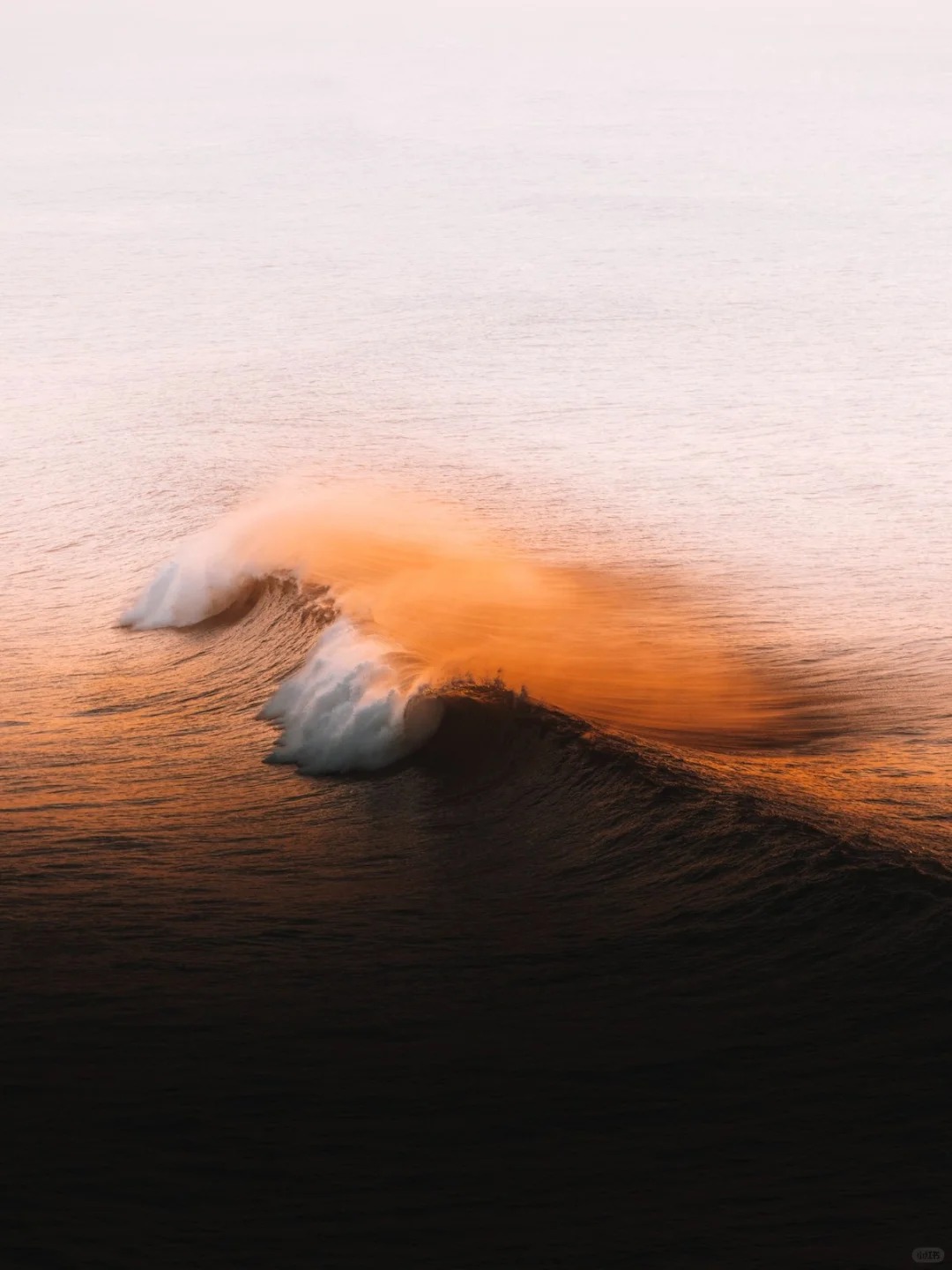 📸 Golden Waves 🌊