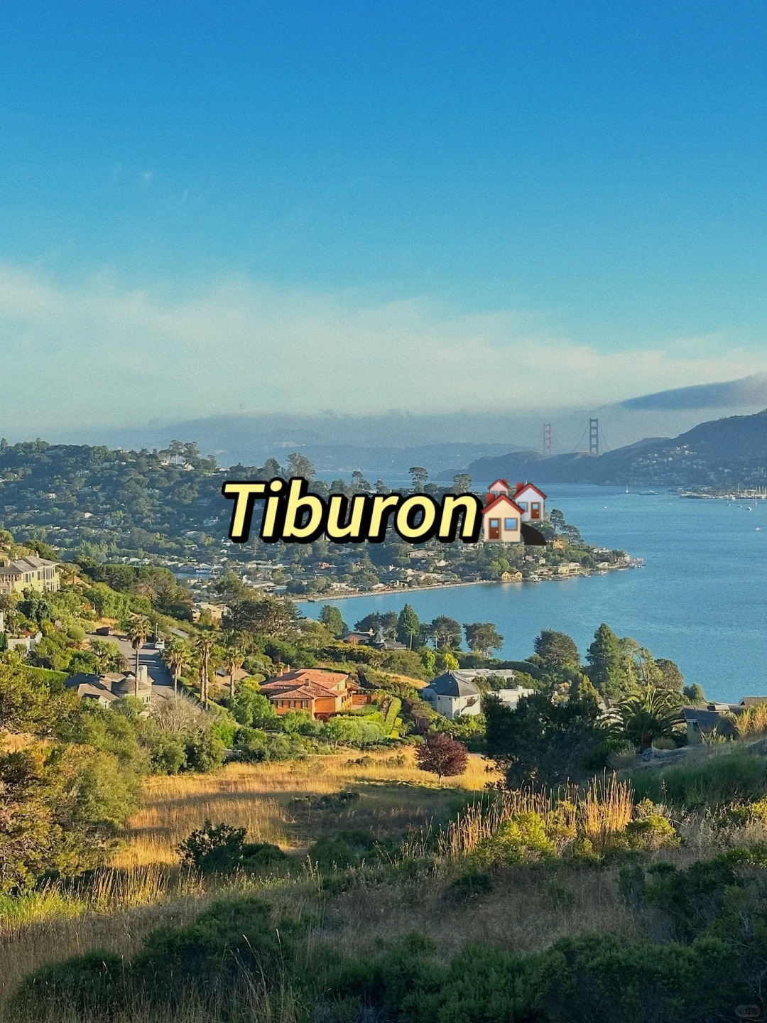 Weekend Whereabouts in the Bay Area Collection