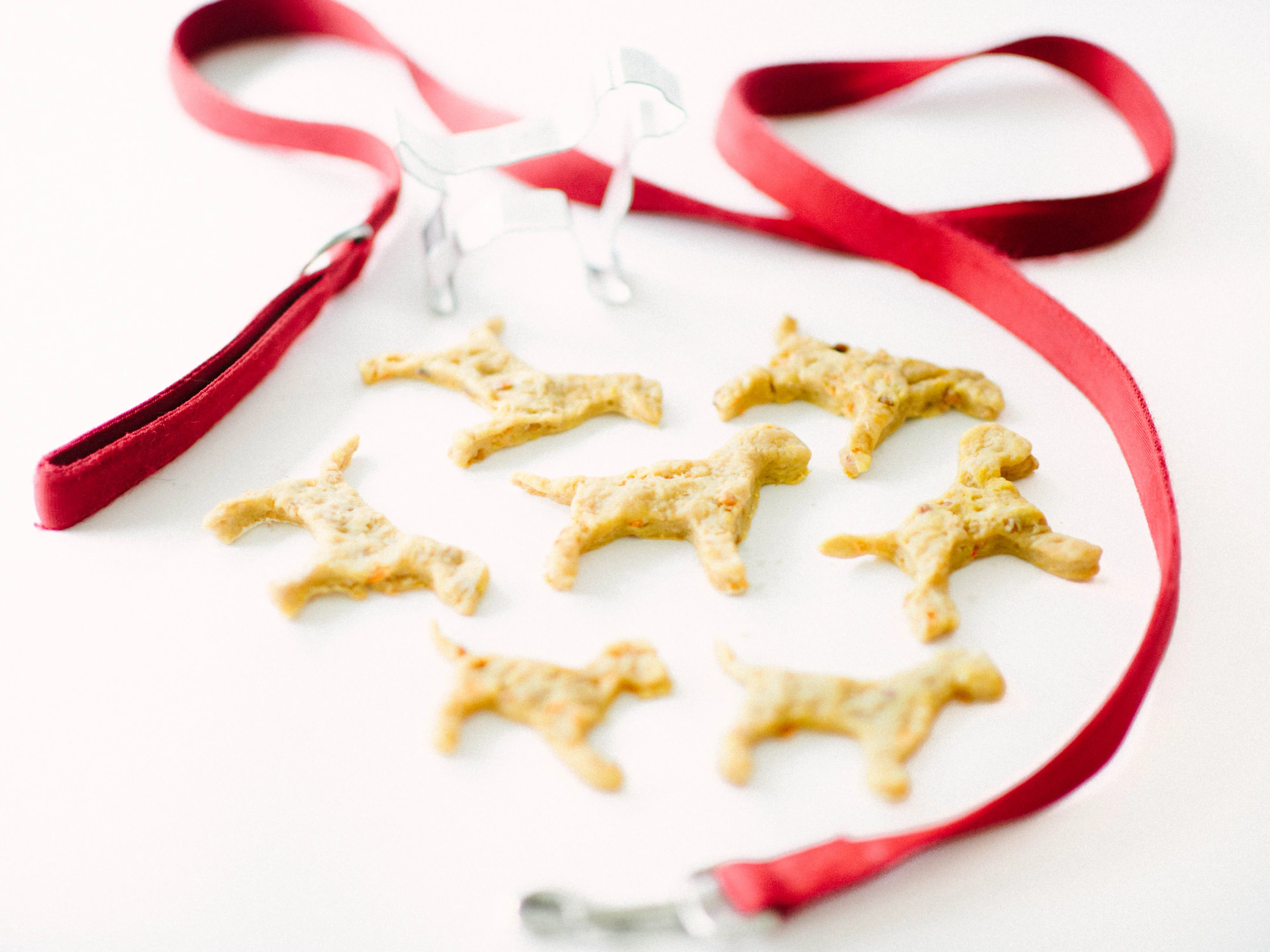 Healthy Homemade Dog Treats You Need To Make