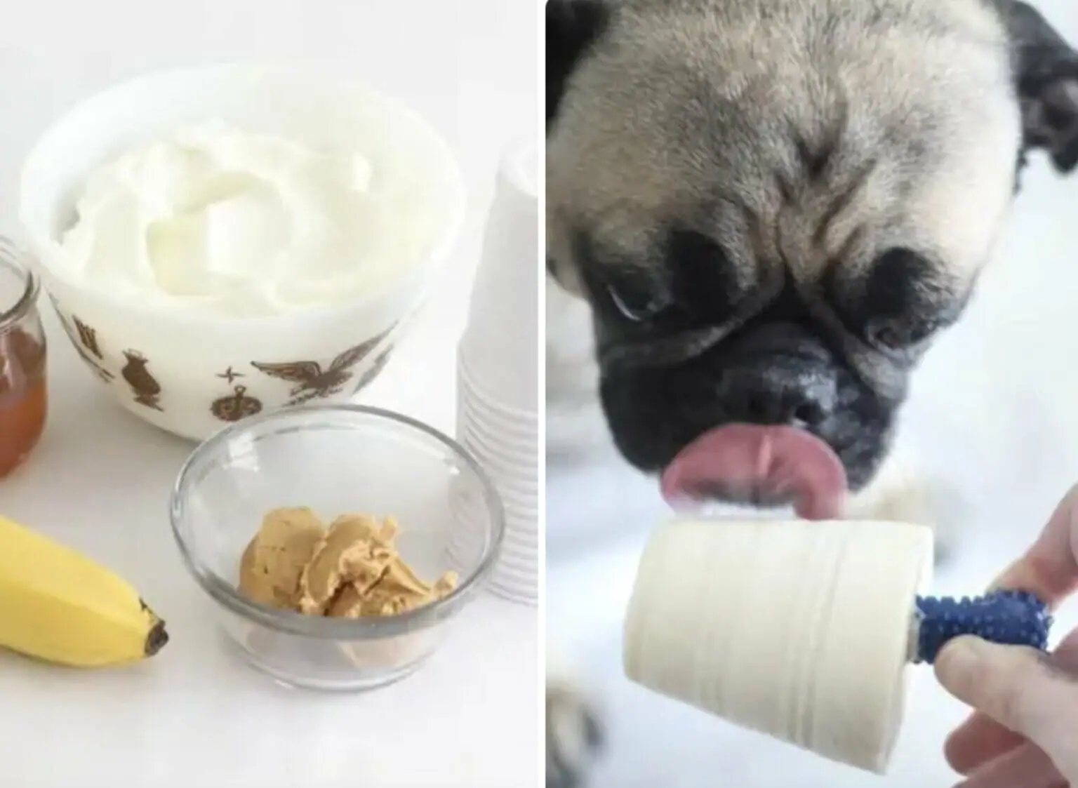 Make Ice Pops for Your Pup