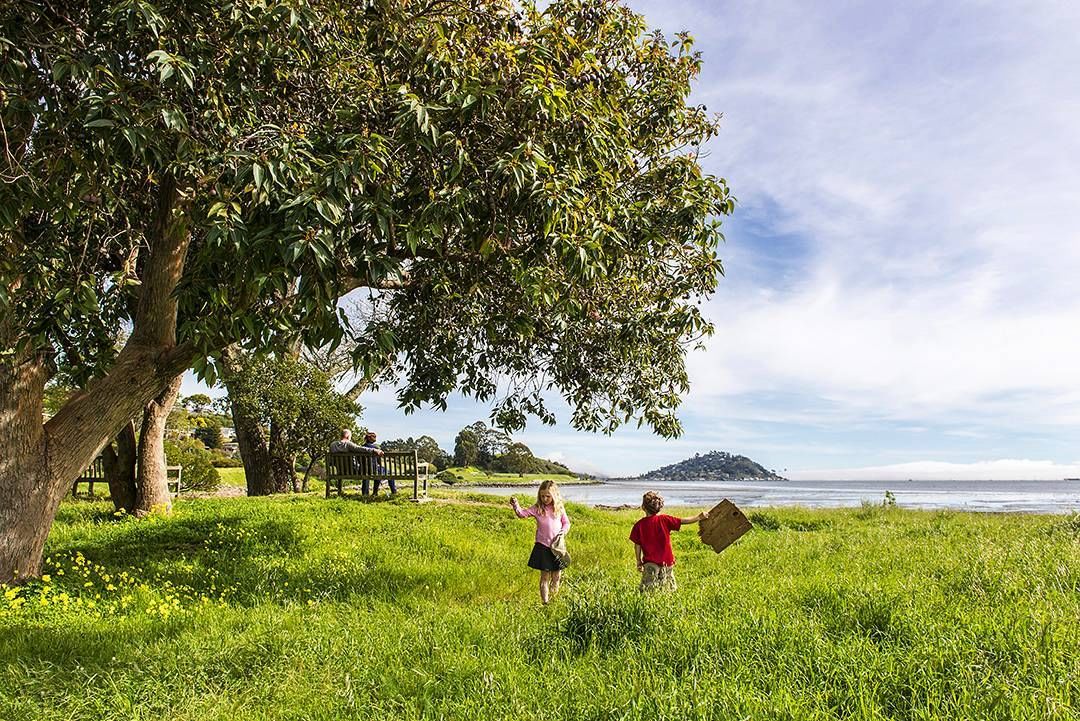🌅Tiburon: Culinary Delights and Adventures to Iconic Landscapes