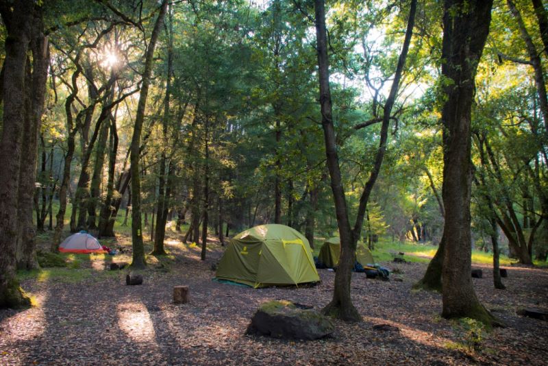 Charming Bay Area Campgrounds