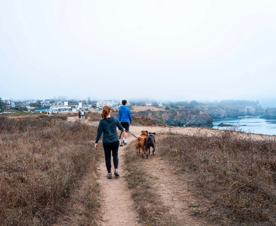 Mendocino: a weekend getaway for Bay Area residents 🌊