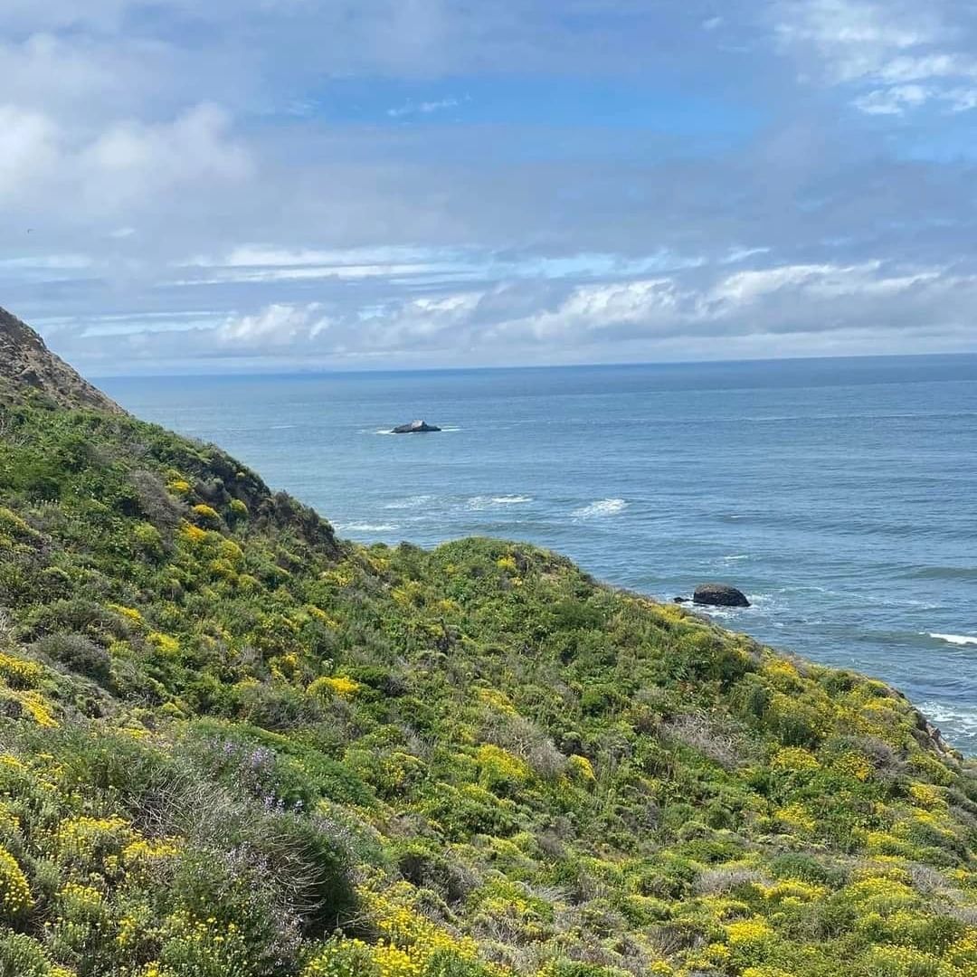 Guide for Famous CA Destination: Alamere Falls