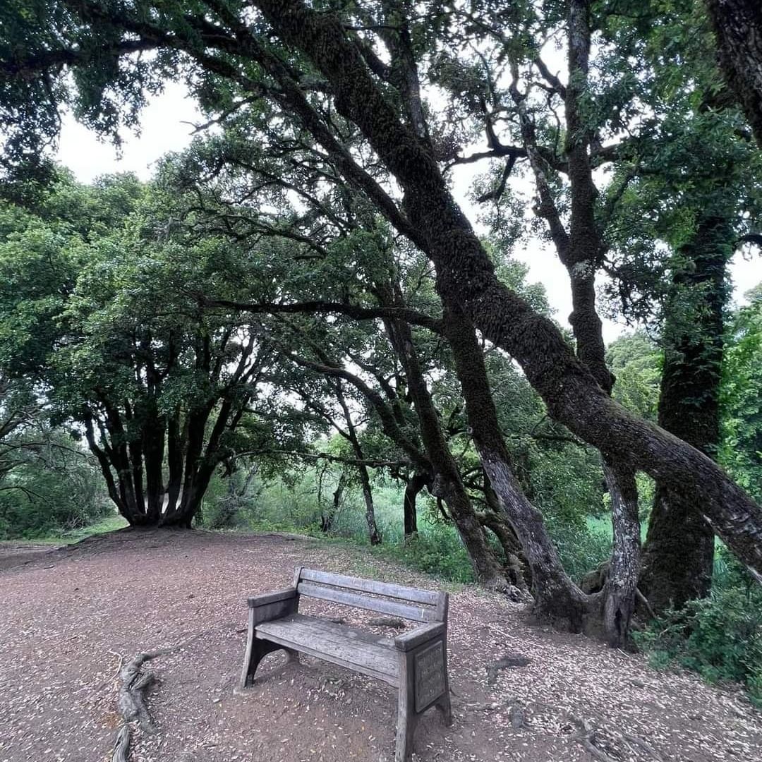 Guide for Famous CA Destination: Alamere Falls