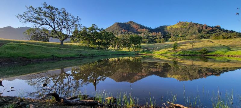 Explore Mount Diablo State Park!