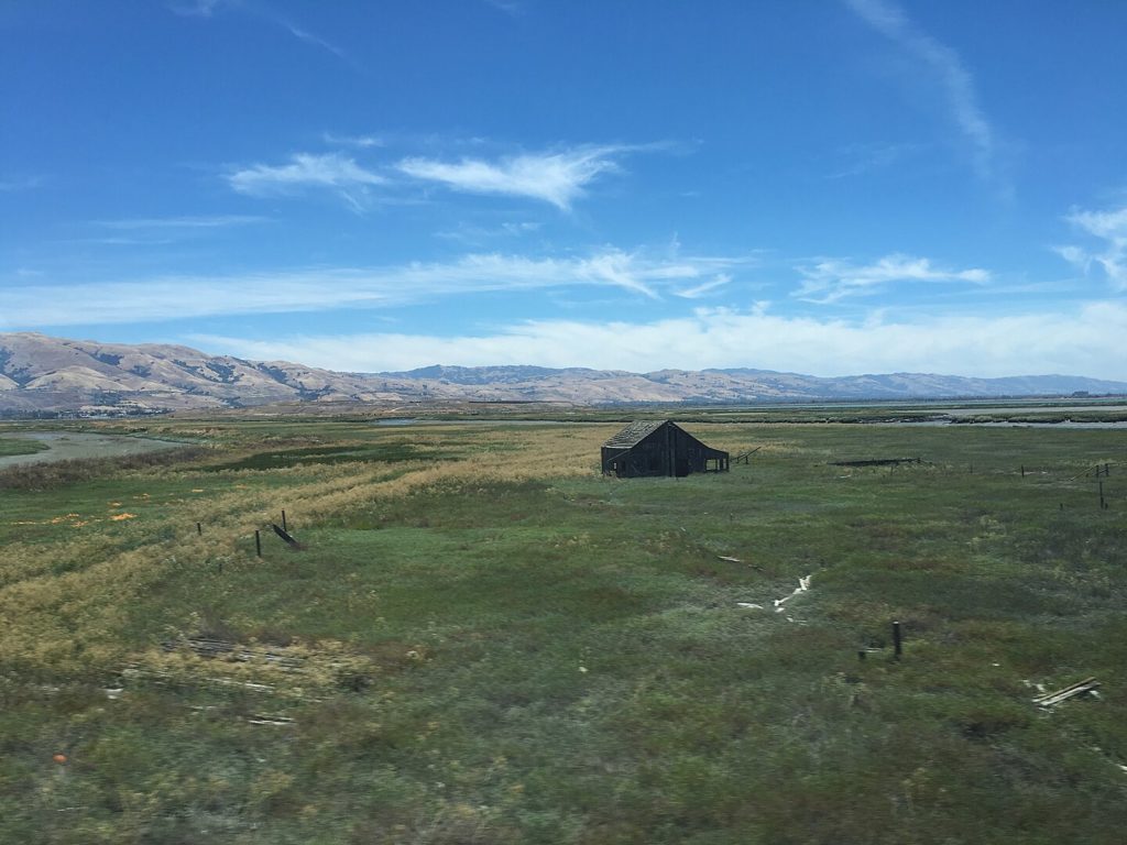 This Local Ghost Town Is Slowly Sinking Into The Bay