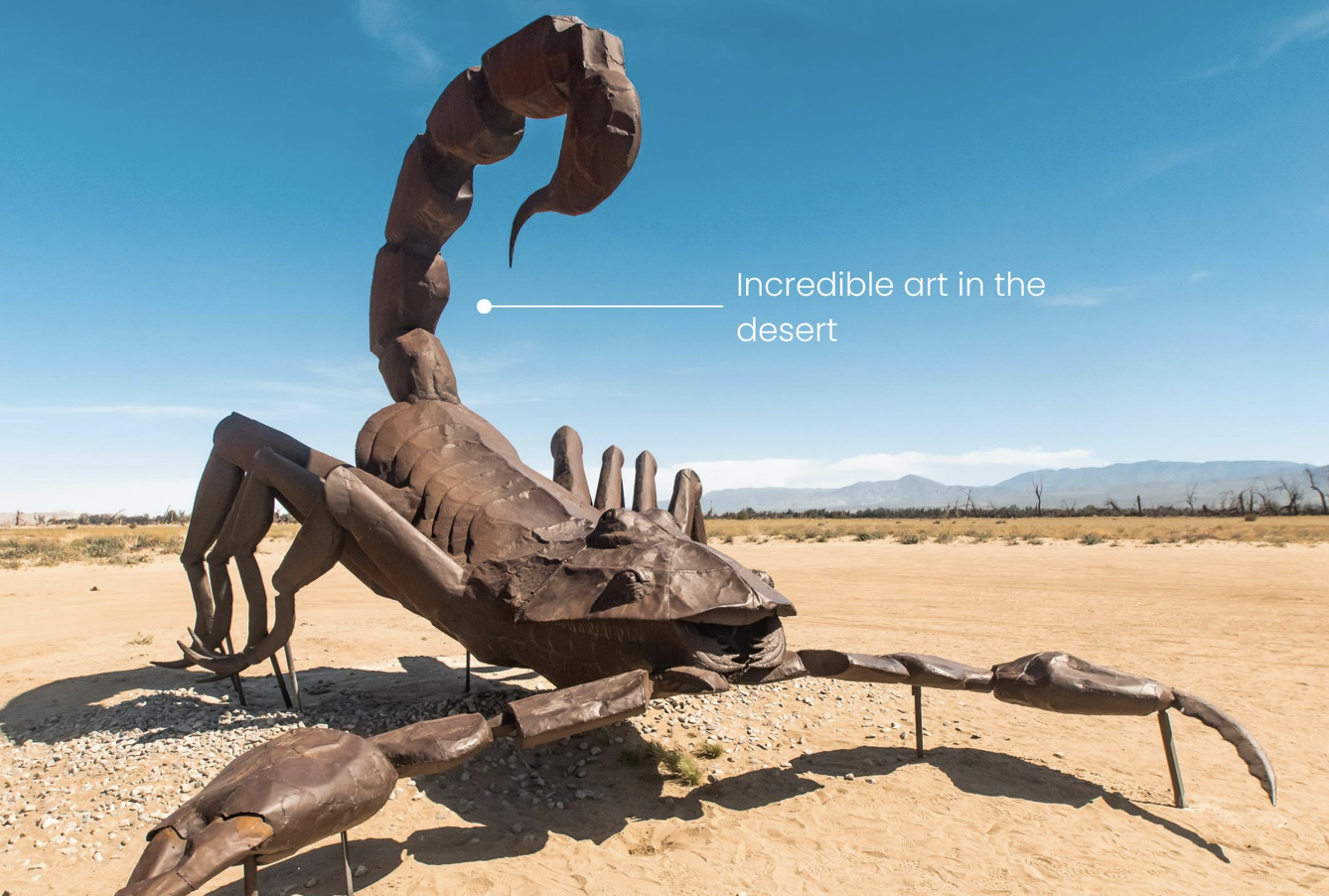 Why you MUST visit Anza Borrego
