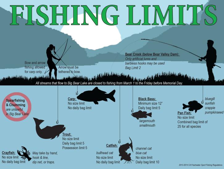 Fishing in California: Essential Tips for Anglers 🎣🌊