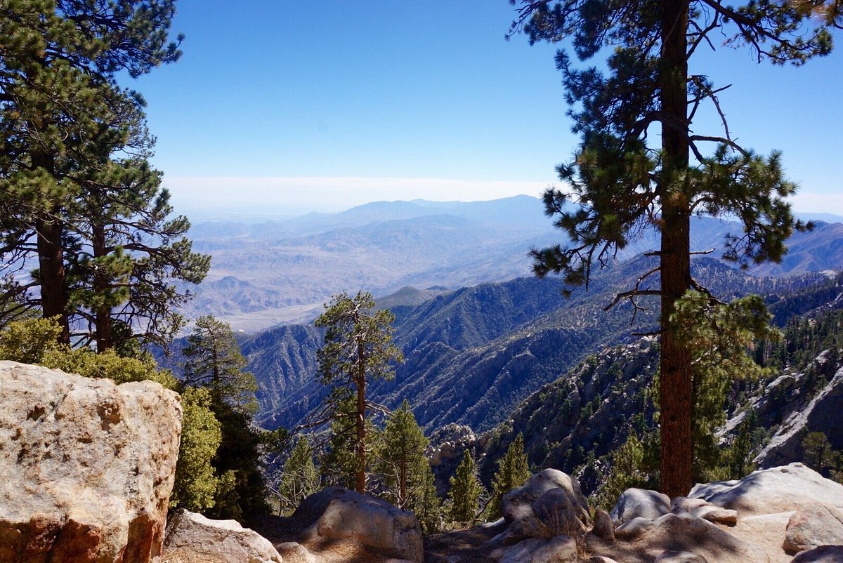 One-Day Wonder: San Jacinto Mountain Adventure