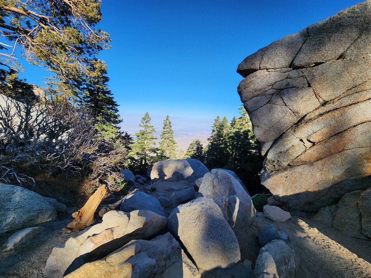 One-Day Wonder: San Jacinto Mountain Adventure