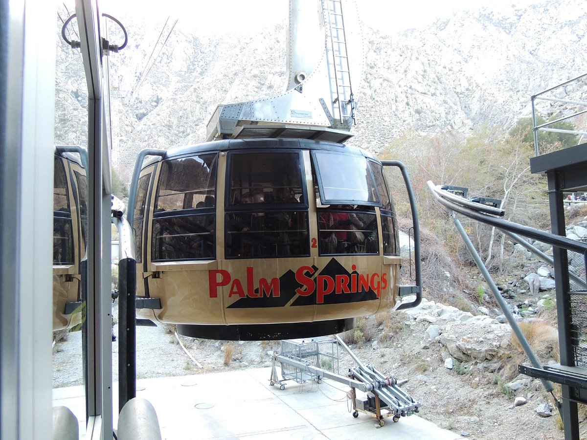 One-Day Wonder: San Jacinto Mountain Adventure