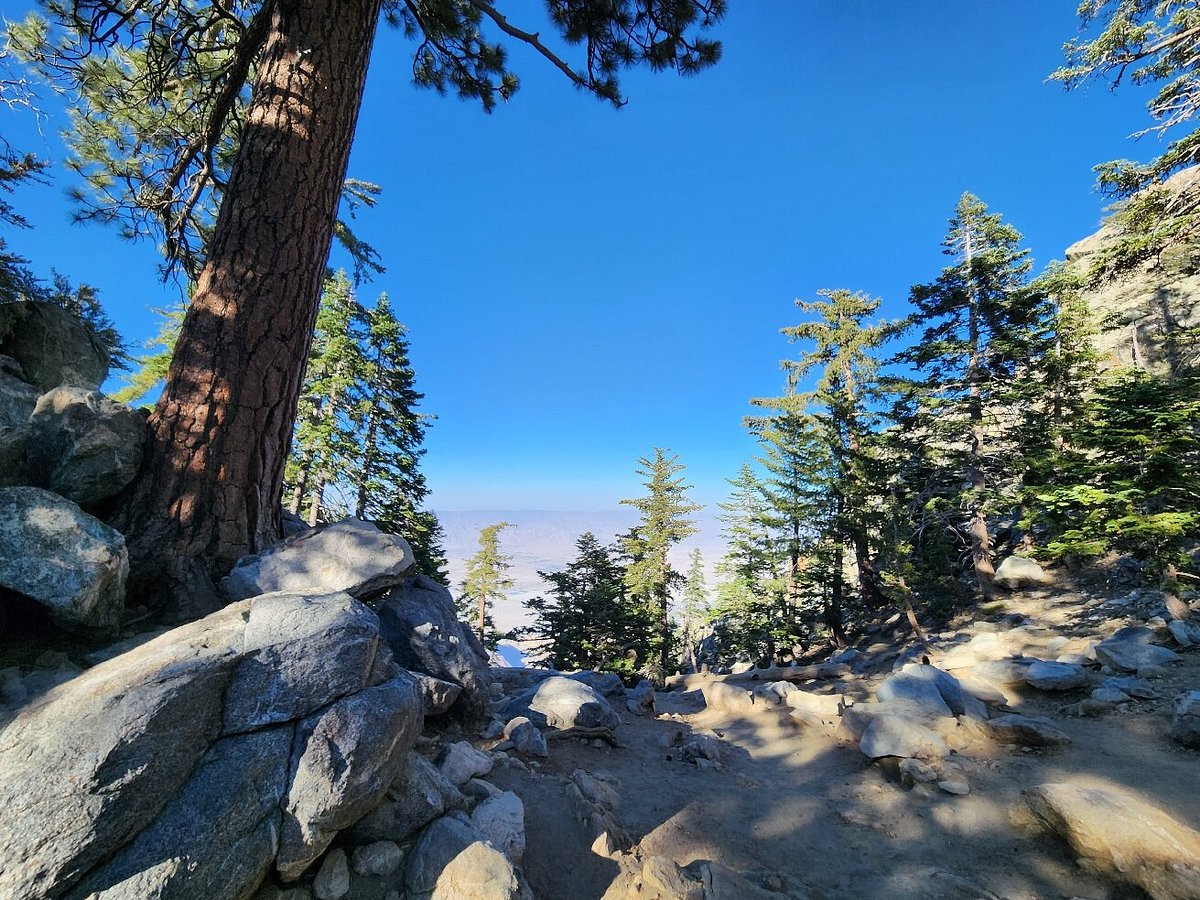 One-Day Wonder: San Jacinto Mountain Adventure