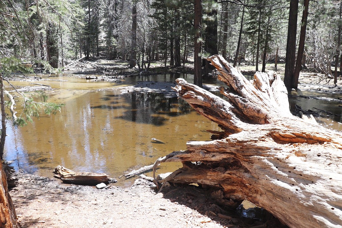 One-Day Wonder: San Jacinto Mountain Adventure