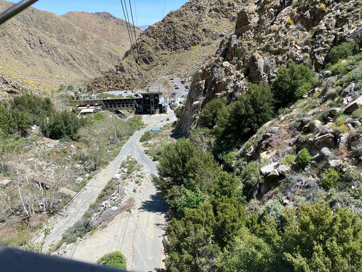 One-Day Wonder: San Jacinto Mountain Adventure
