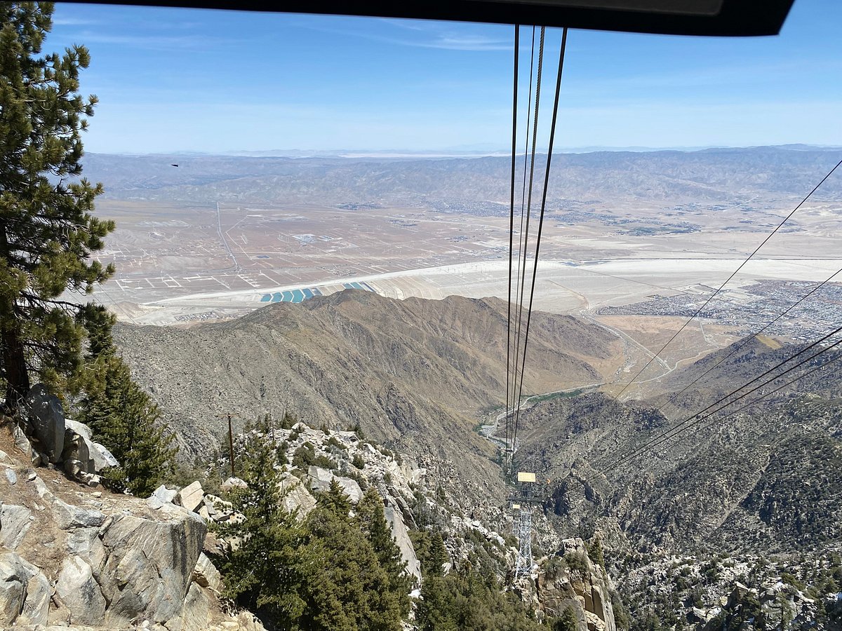 One-Day Wonder: San Jacinto Mountain Adventure