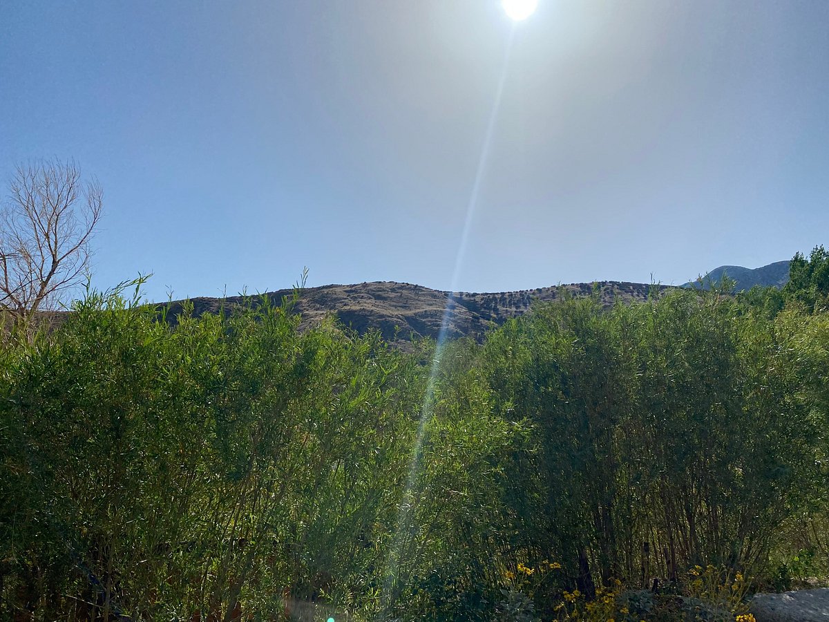 One-Day Wonder: San Jacinto Mountain Adventure